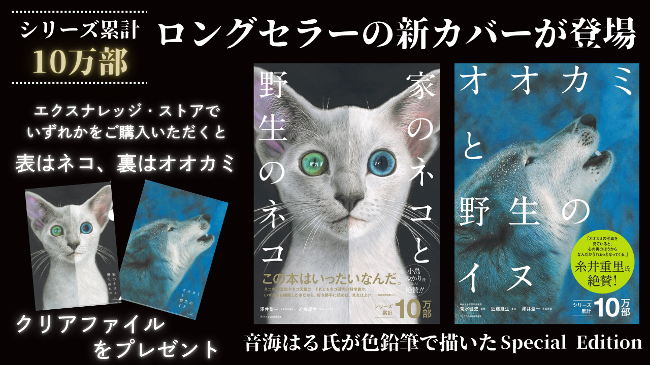オオカミと野生のイヌ・家のネコと野生のネコ　クリアファイルをプレゼント