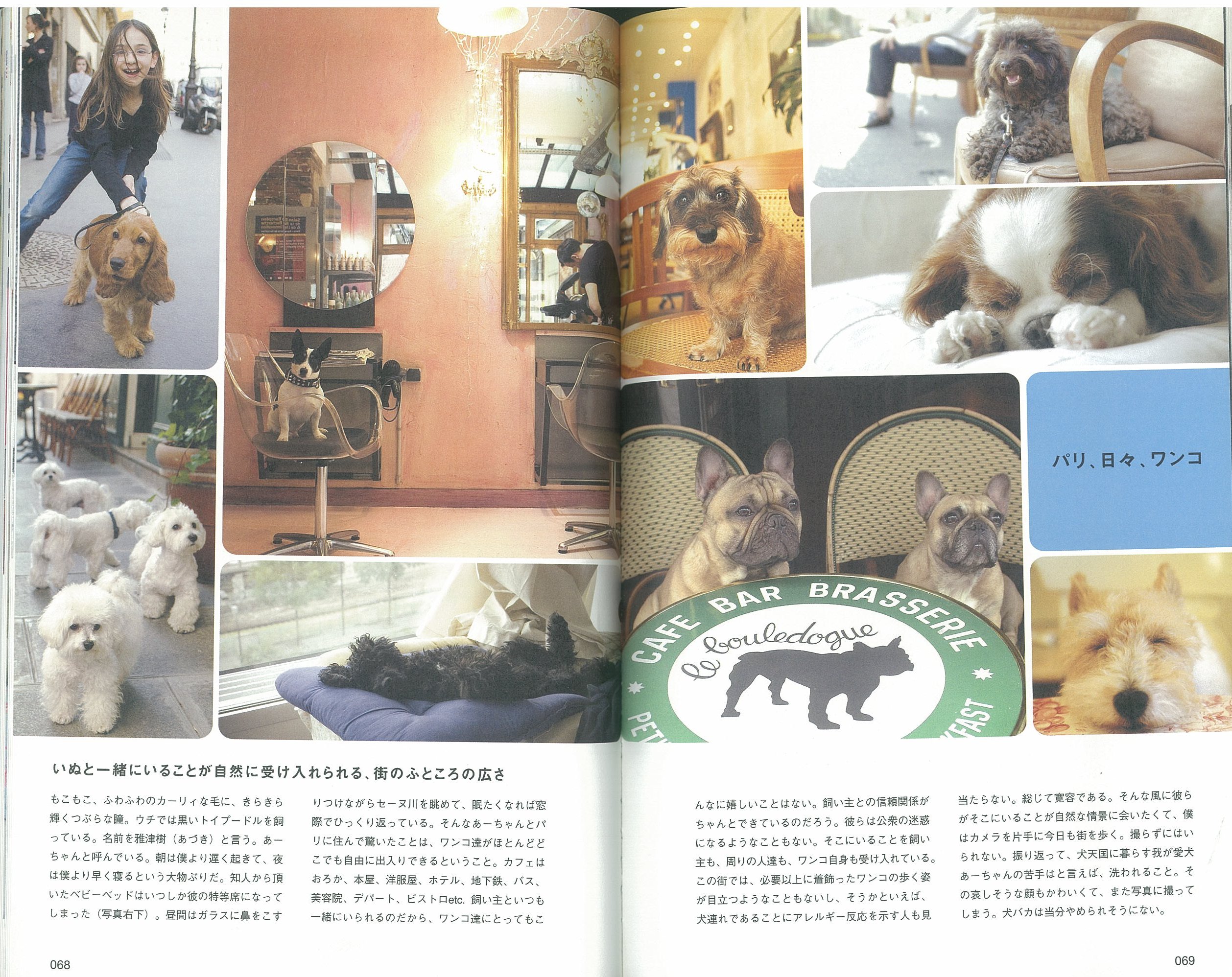 X-Knowledge | 世界のいぬ☆ねこインテリア