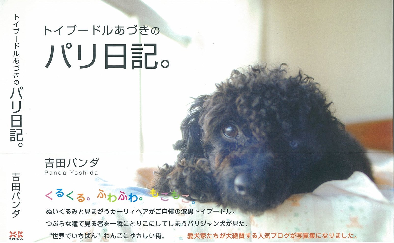 X Knowledge トイプードルあづきのパリ日記 X Knowledge トイプードルあづきのパリ日記