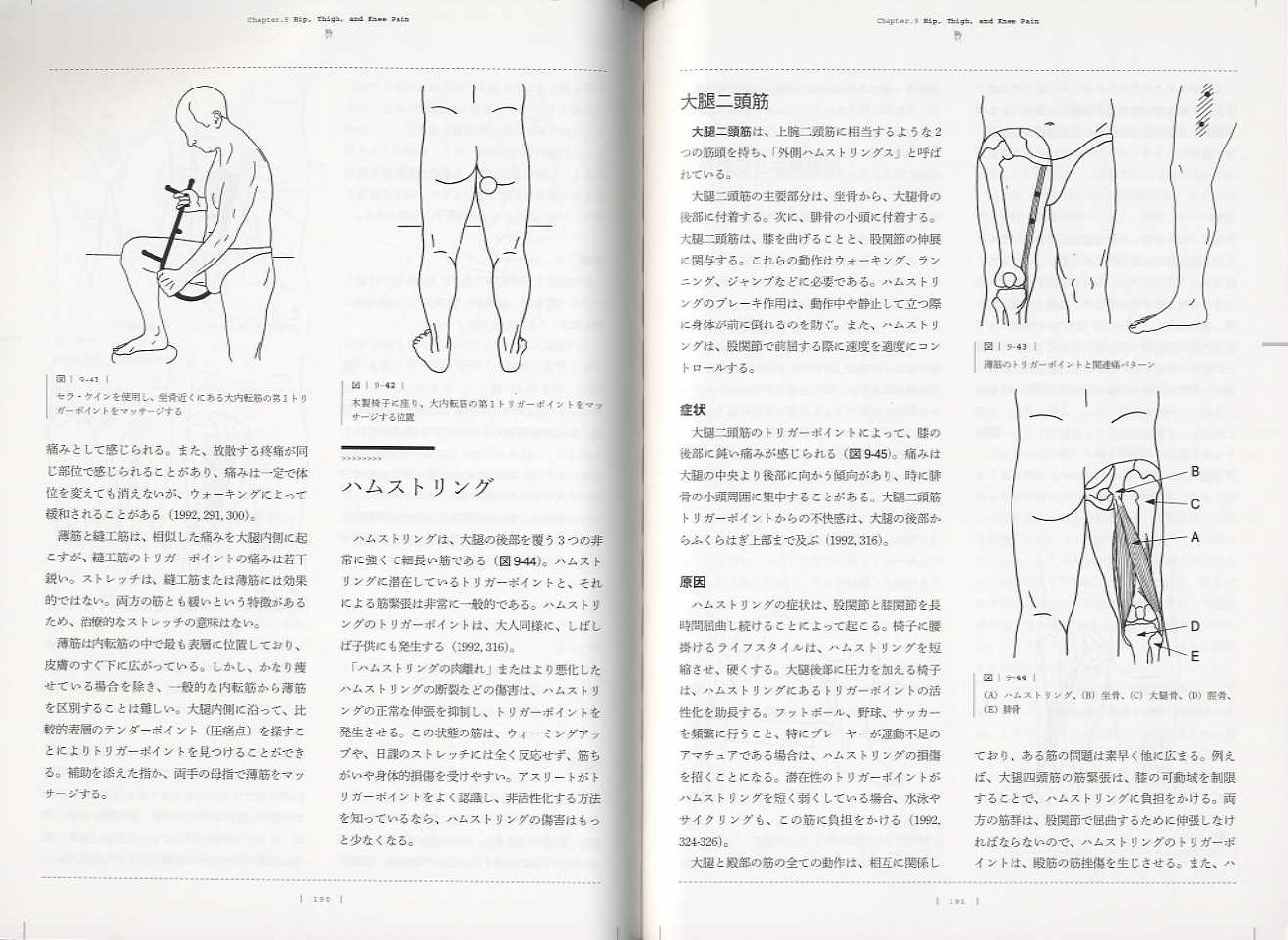 X-Knowledge | 誰でもできるトリガーポイントの探し方・治し方