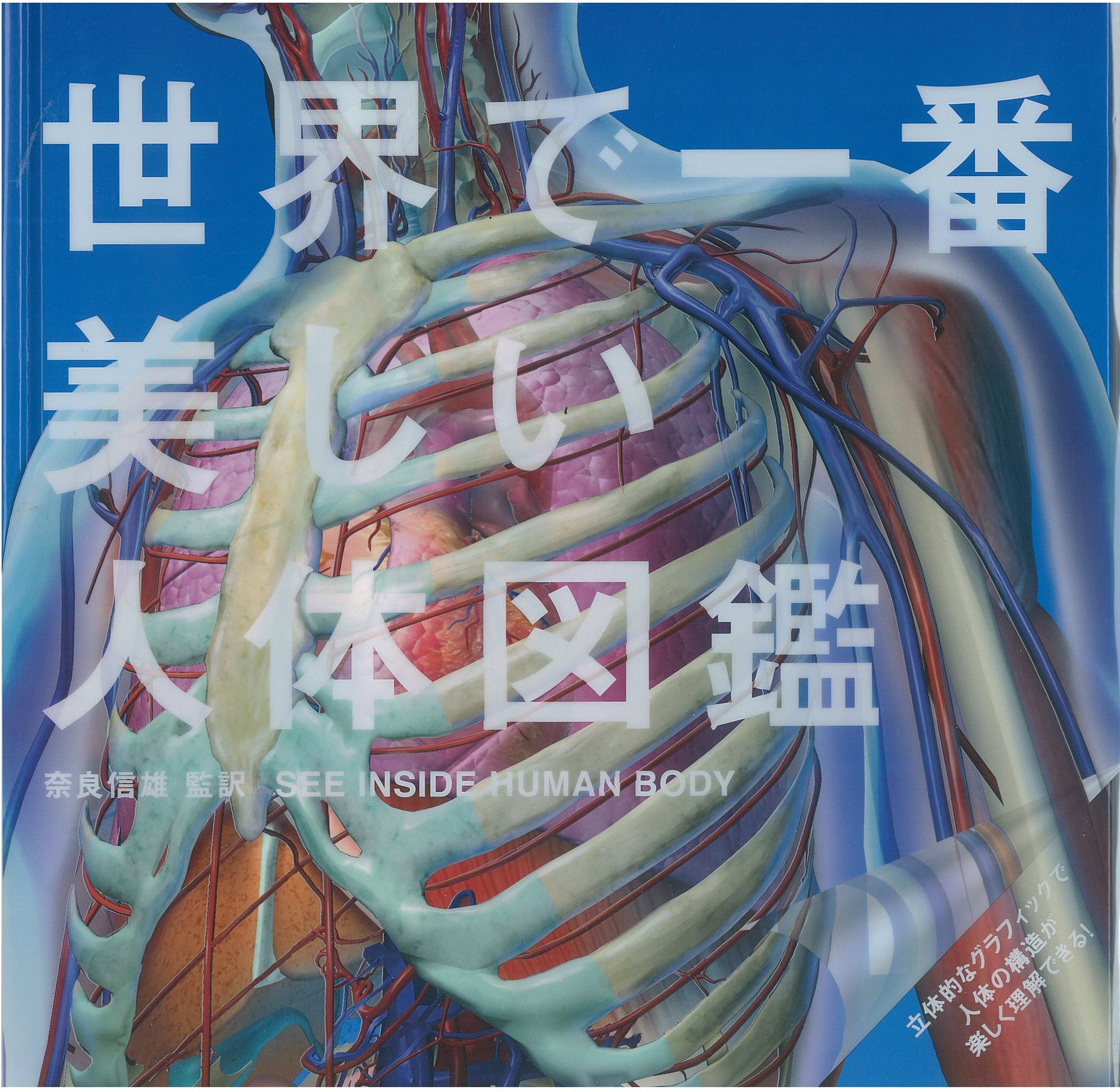 X Knowledge 世界で一番美しい人体図鑑