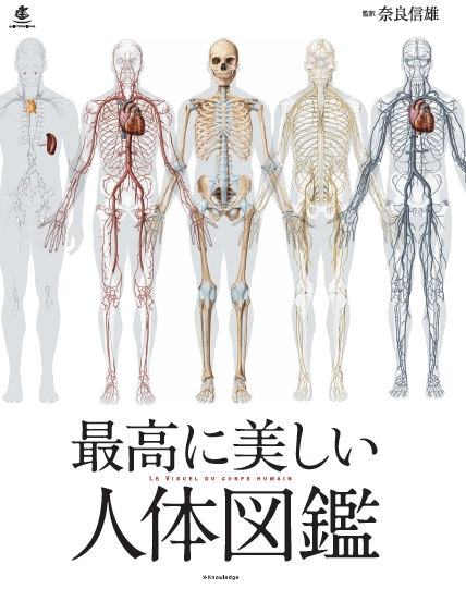 X Knowledge   最高に美しい人体図鑑