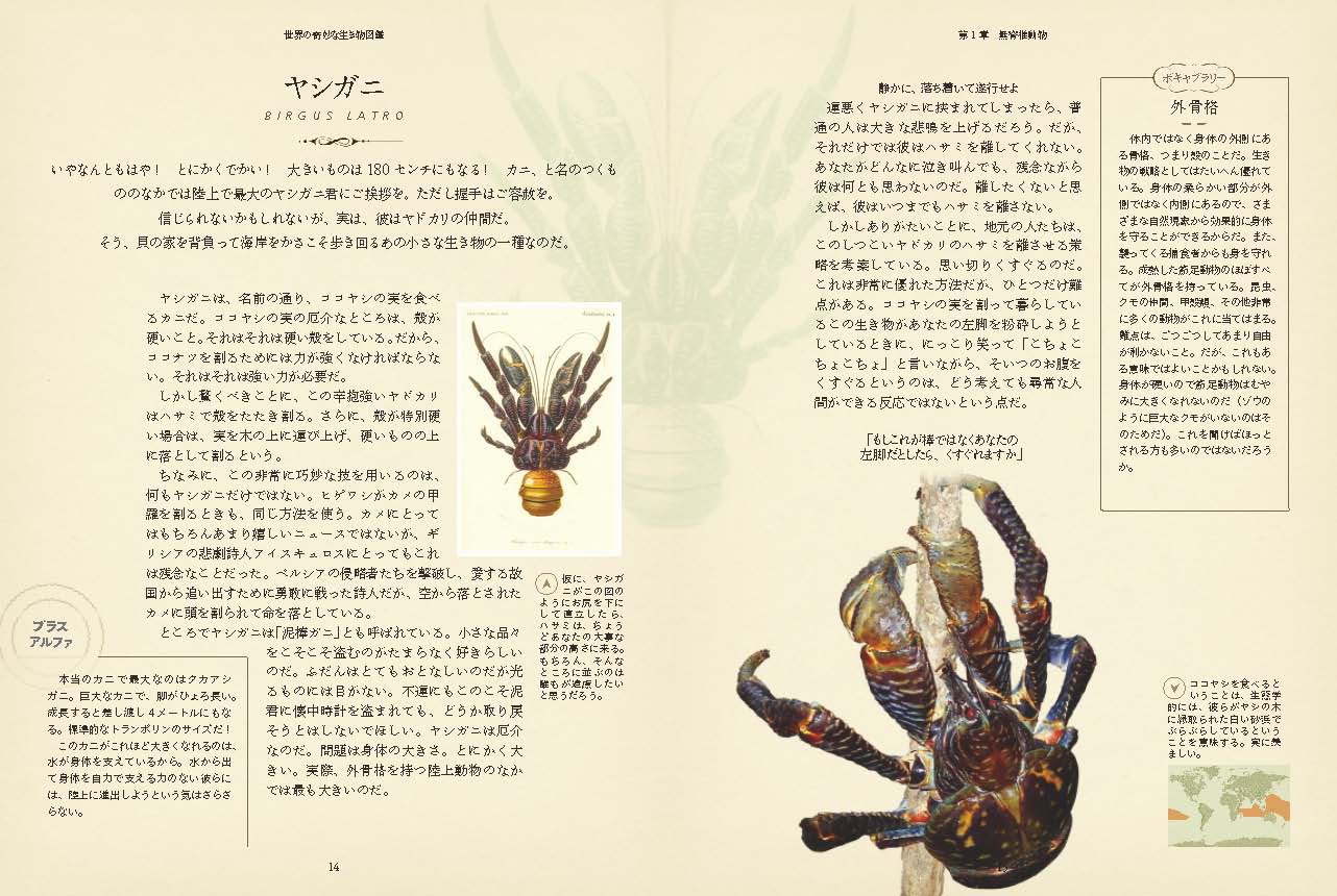 X-Knowledge | 世界の奇妙な生き物図鑑 X-Knowledge | 世界の奇妙な生き物図鑑