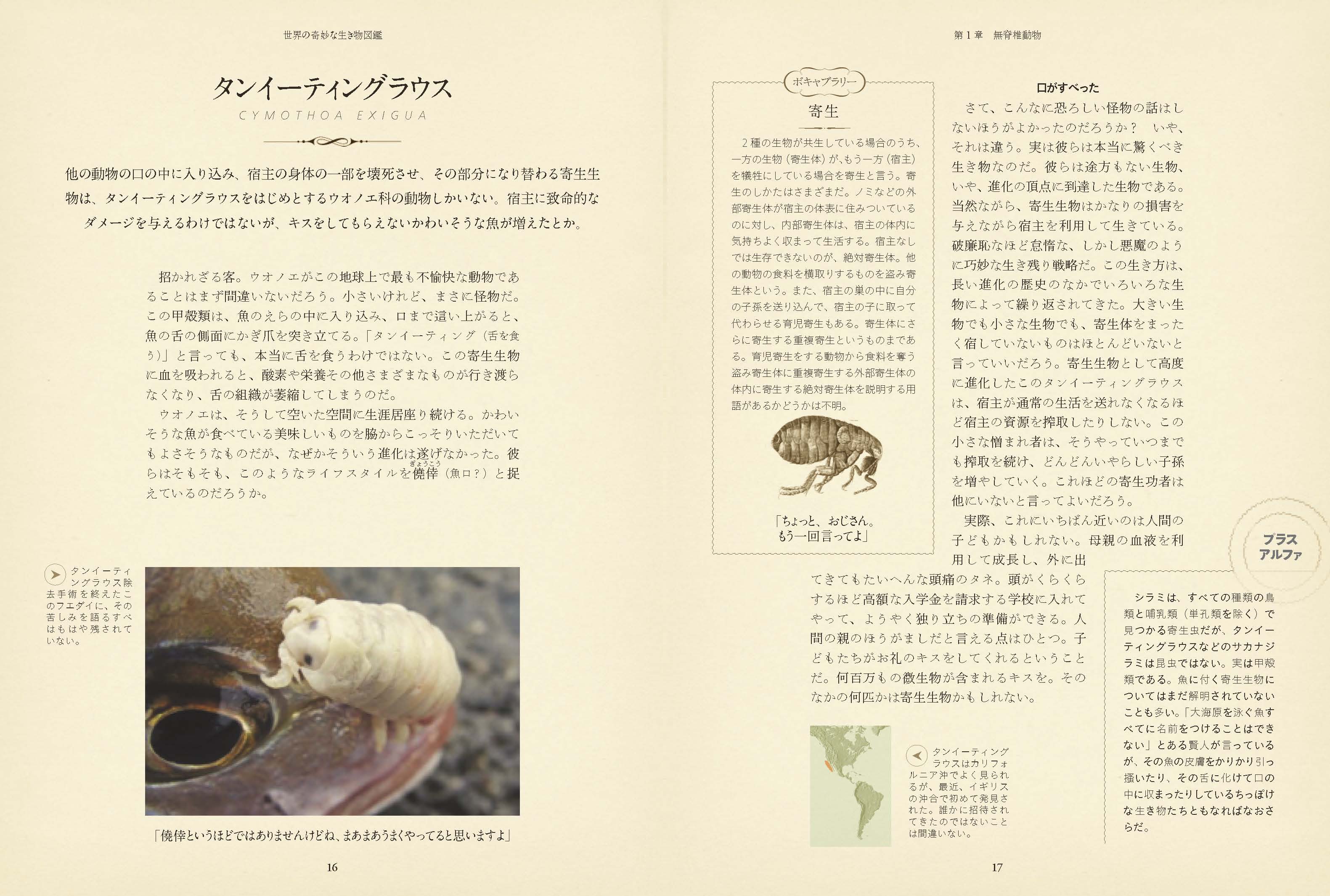 X-Knowledge | 世界の奇妙な生き物図鑑 X-Knowledge | 世界の奇妙な生き物図鑑