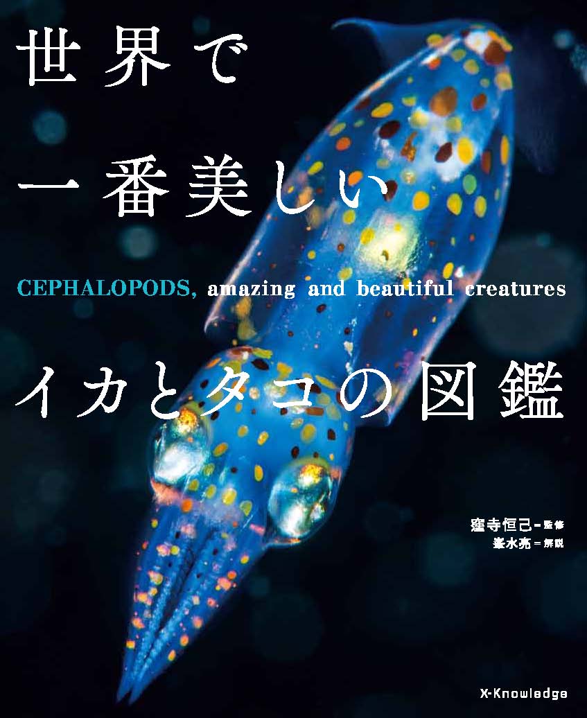X Knowledge 世界で一番美しいイカとタコの図鑑 X Knowledge 世界で一番美しいイカとタコの図鑑