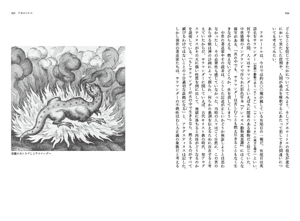 X-Knowledge | ほとんど想像すらされない奇妙な生き物たちの記録 X-Knowledge | ほとんど想像すらされない奇妙な生き物たちの記録