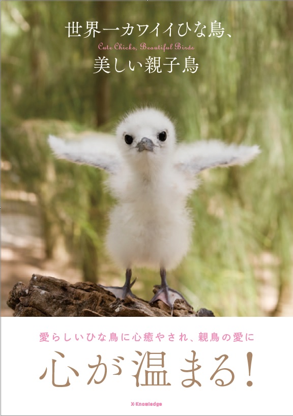 X Knowledge 世界一カワイイひな鳥 美しい親子鳥