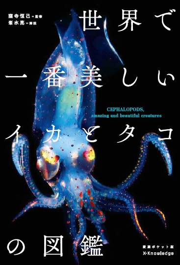 X Knowledge 世界で一番美しいイカとタコの図鑑 愛蔵ポケット版 X Knowledge 世界で一番美しいイカとタコの図鑑 愛蔵ポケット版