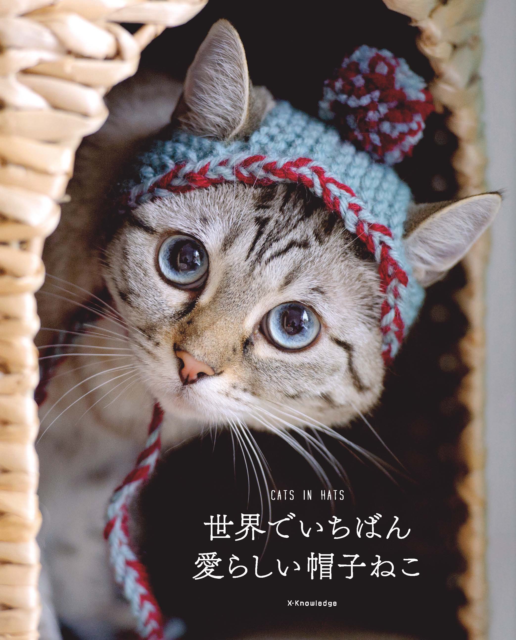 X Knowledge 世界でいちばん愛らしい帽子ねこ Cats In Hats