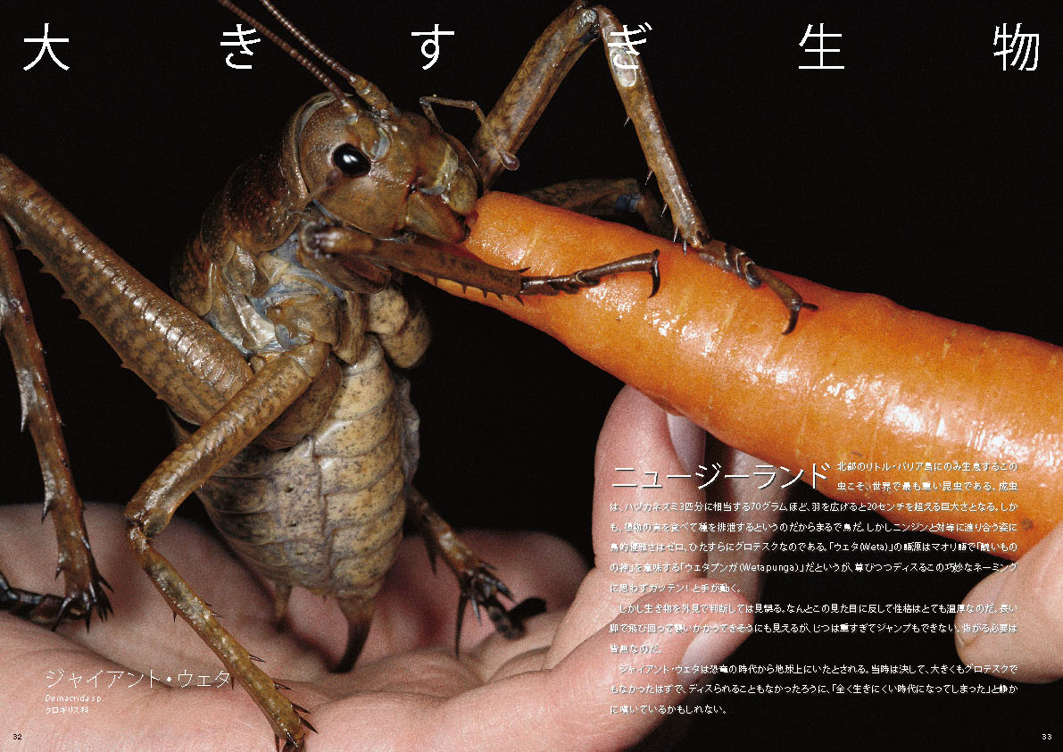 高評価の贈り物 X-Knowledge | 奇界生物図鑑 着物・浴衣