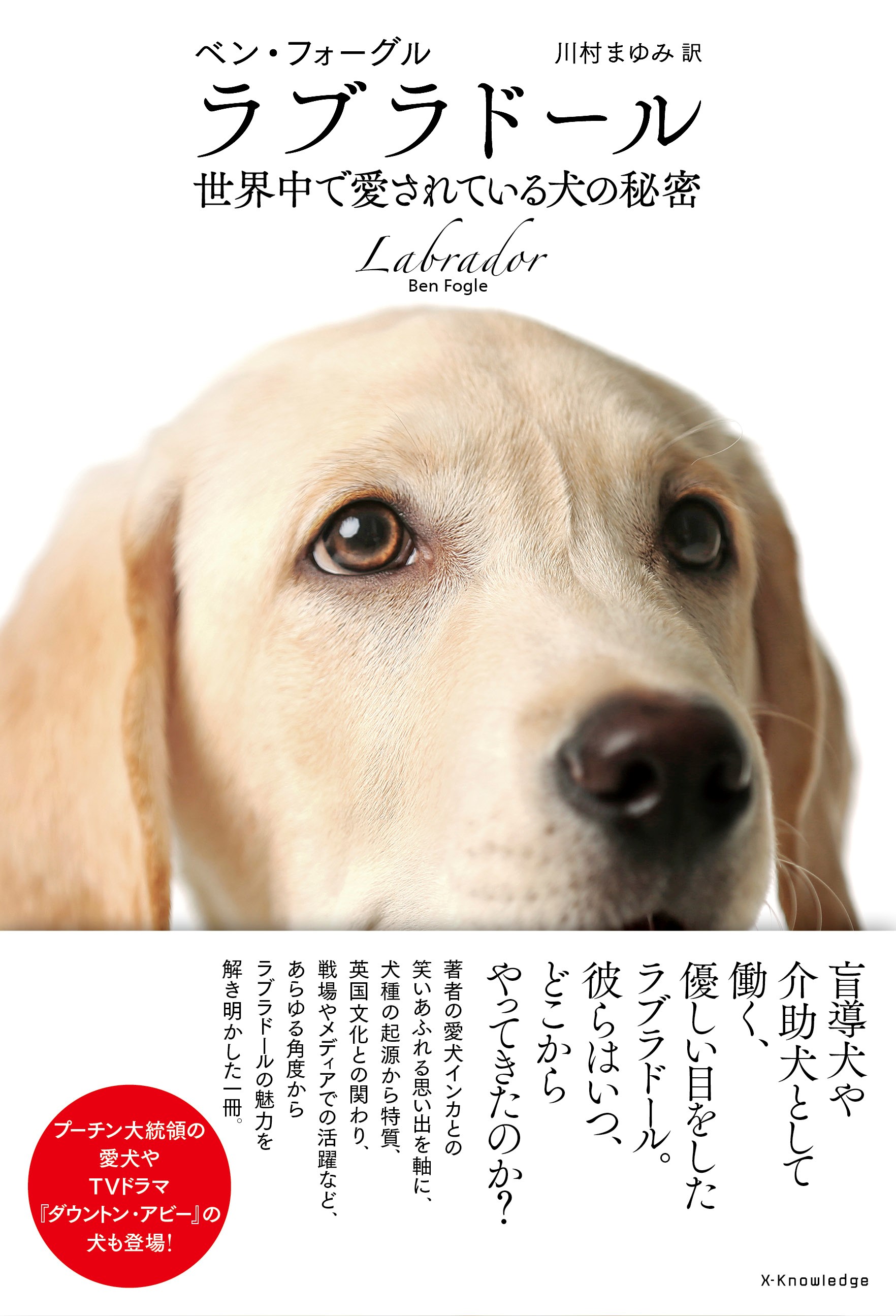 X Knowledge ラブラドール 世界中で愛されている犬の秘密