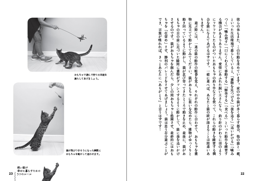 X-Knowledge | 猫にもできる超簡単トレーニング