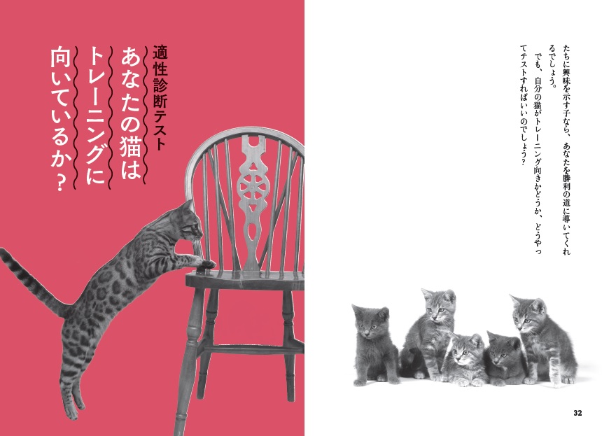 X-Knowledge | 猫にもできる超簡単トレーニング