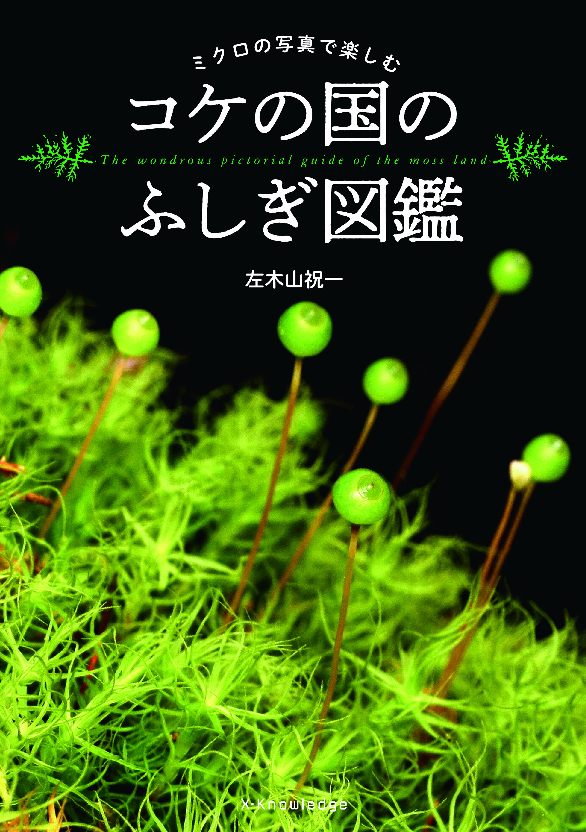 X Knowledge コケの国のふしぎ図鑑 X Knowledge コケの国のふしぎ図鑑