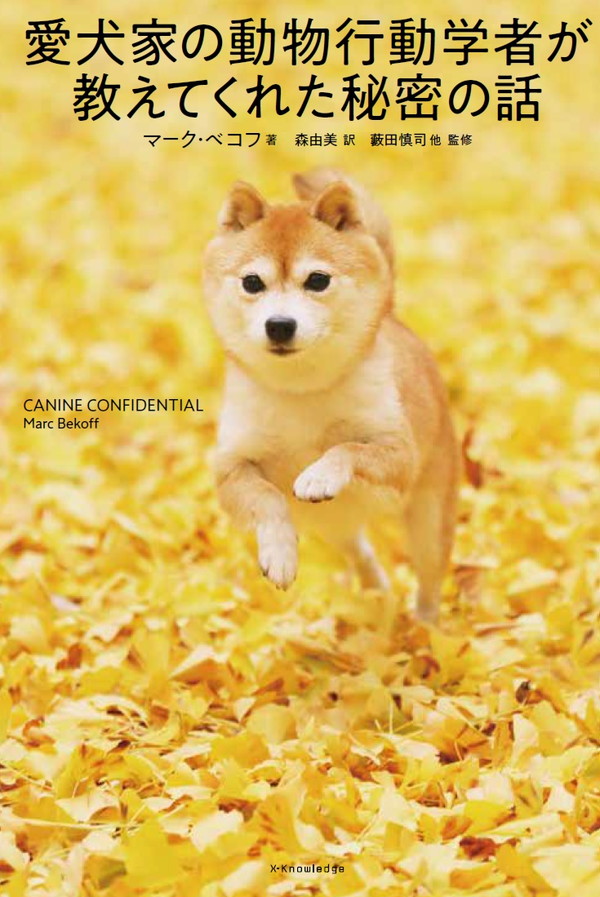 わかりやすい愛犬のしつけとマナー | 矢崎 潤 |本 | 通販 | Amazon