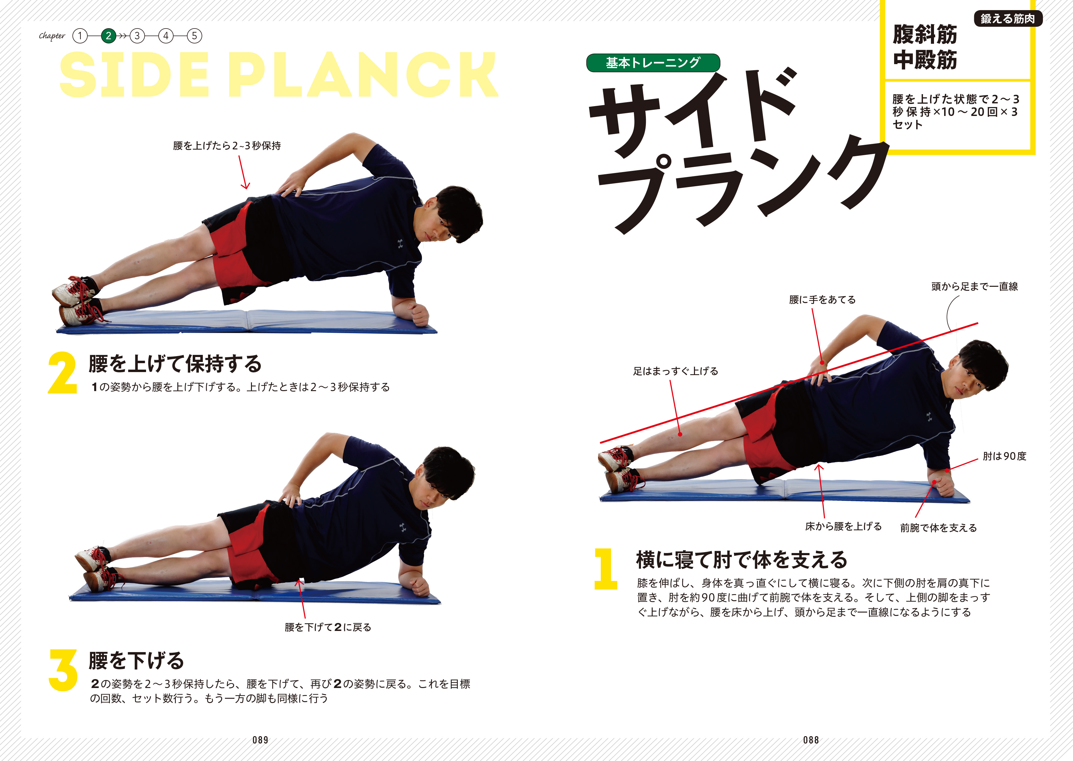 XKnowledge 筋肉を最速で太くする