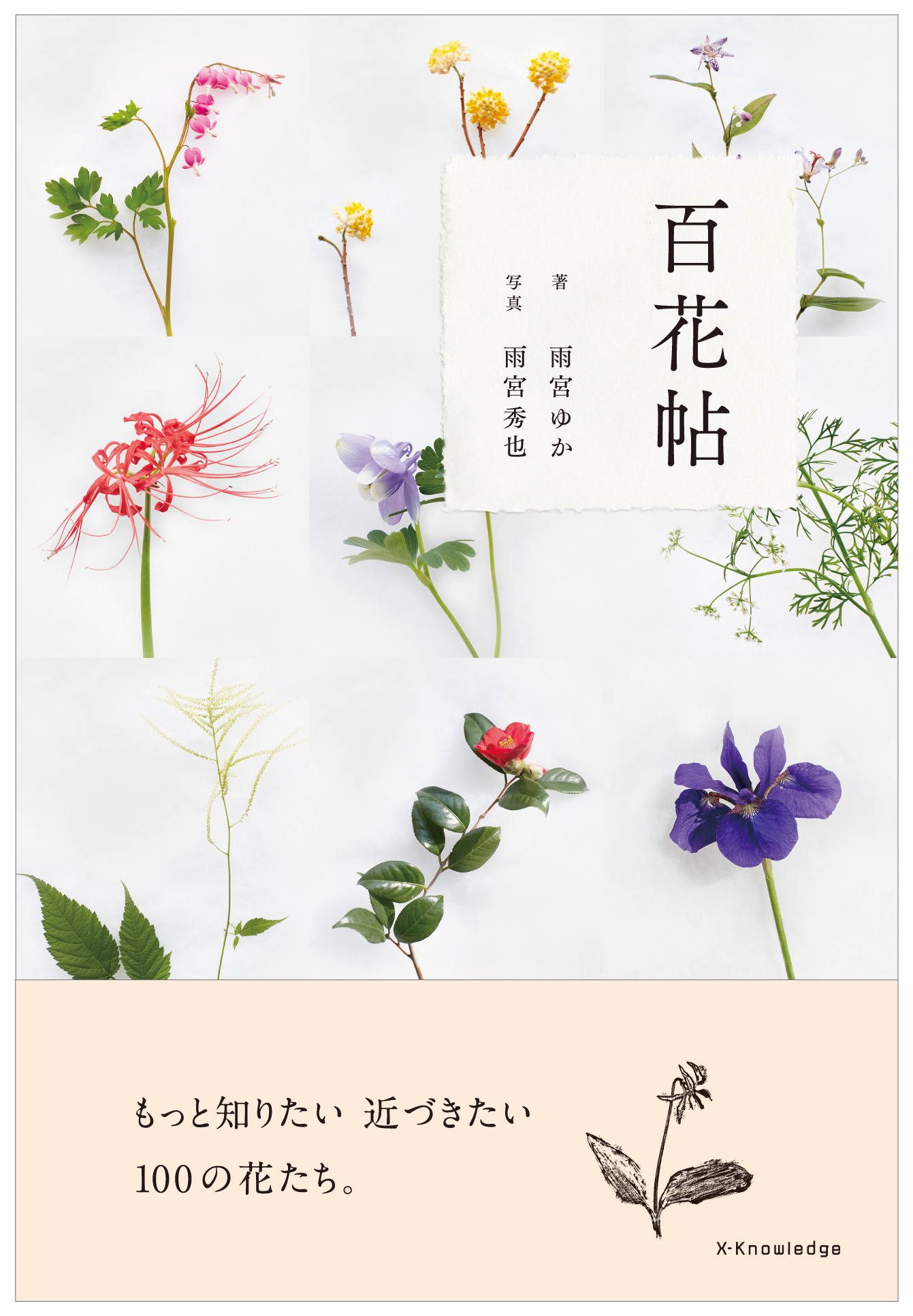 X Knowledge 百花帖 もっと知りたい 近づきたい 100の花たち