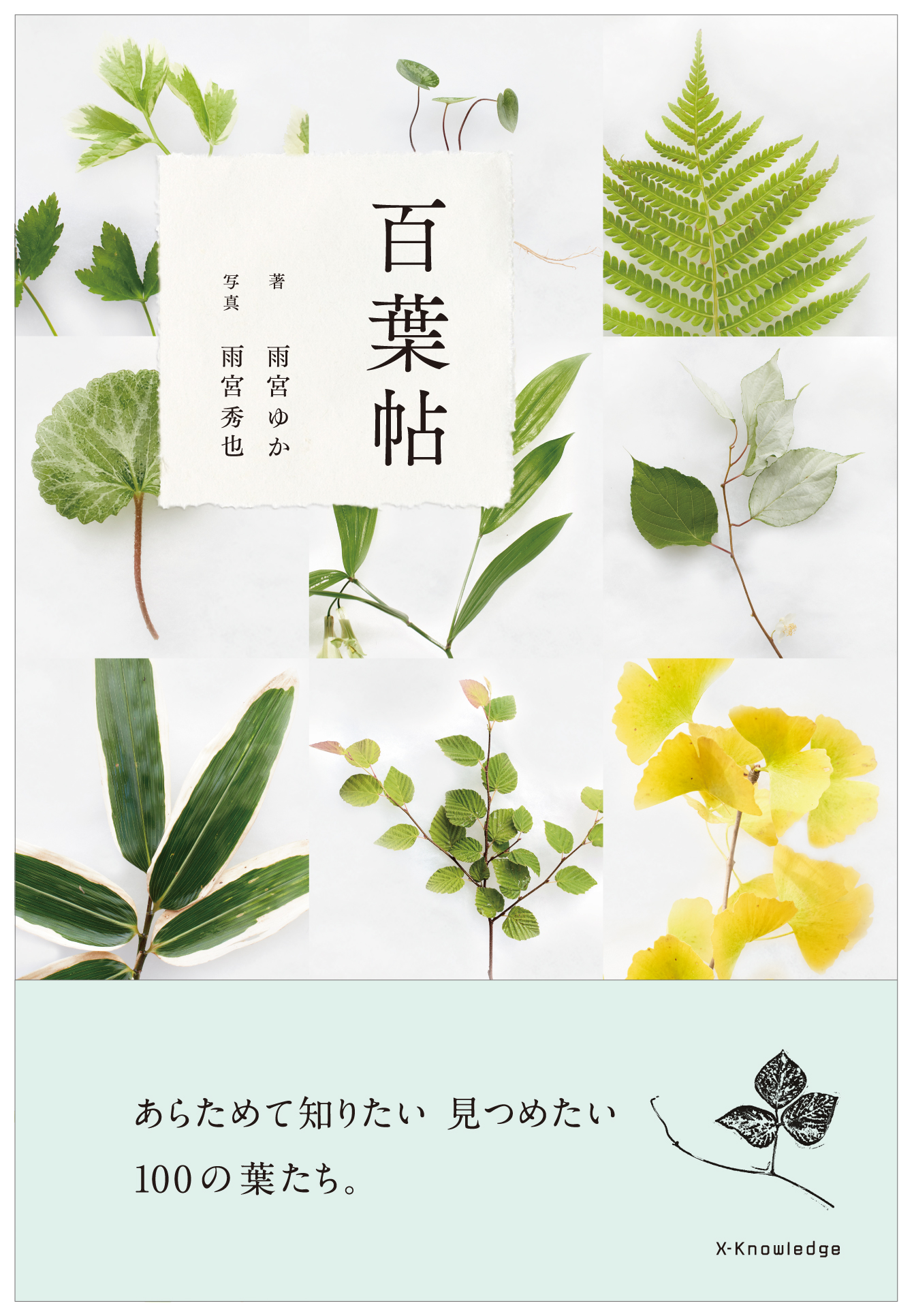 X-Knowledge | 百葉帖 ―あらためて知りたい 見つめたい 100の葉たち。
