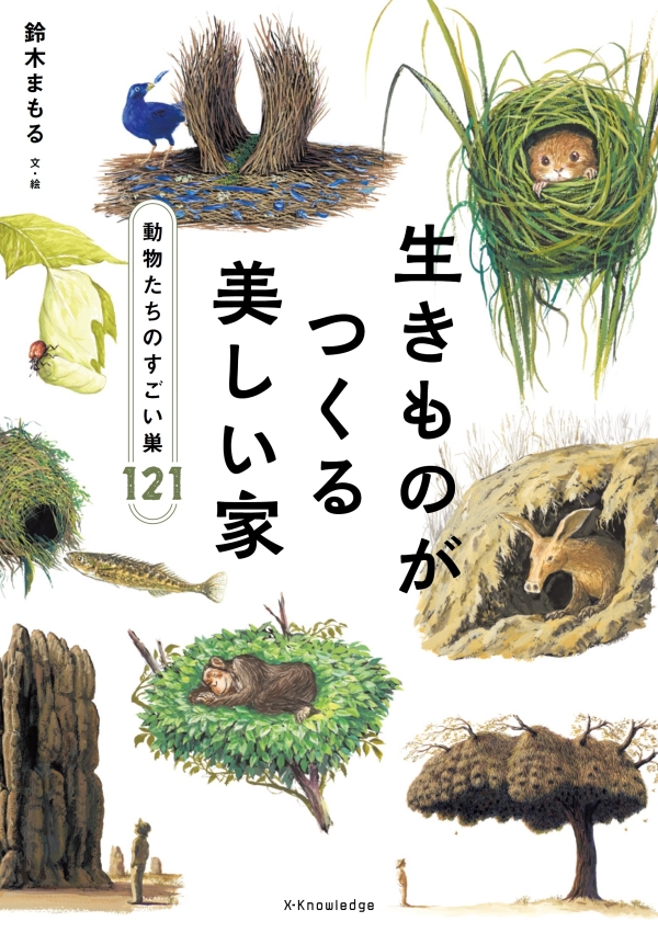 X-Knowledge | 生きものがつくる美しい家