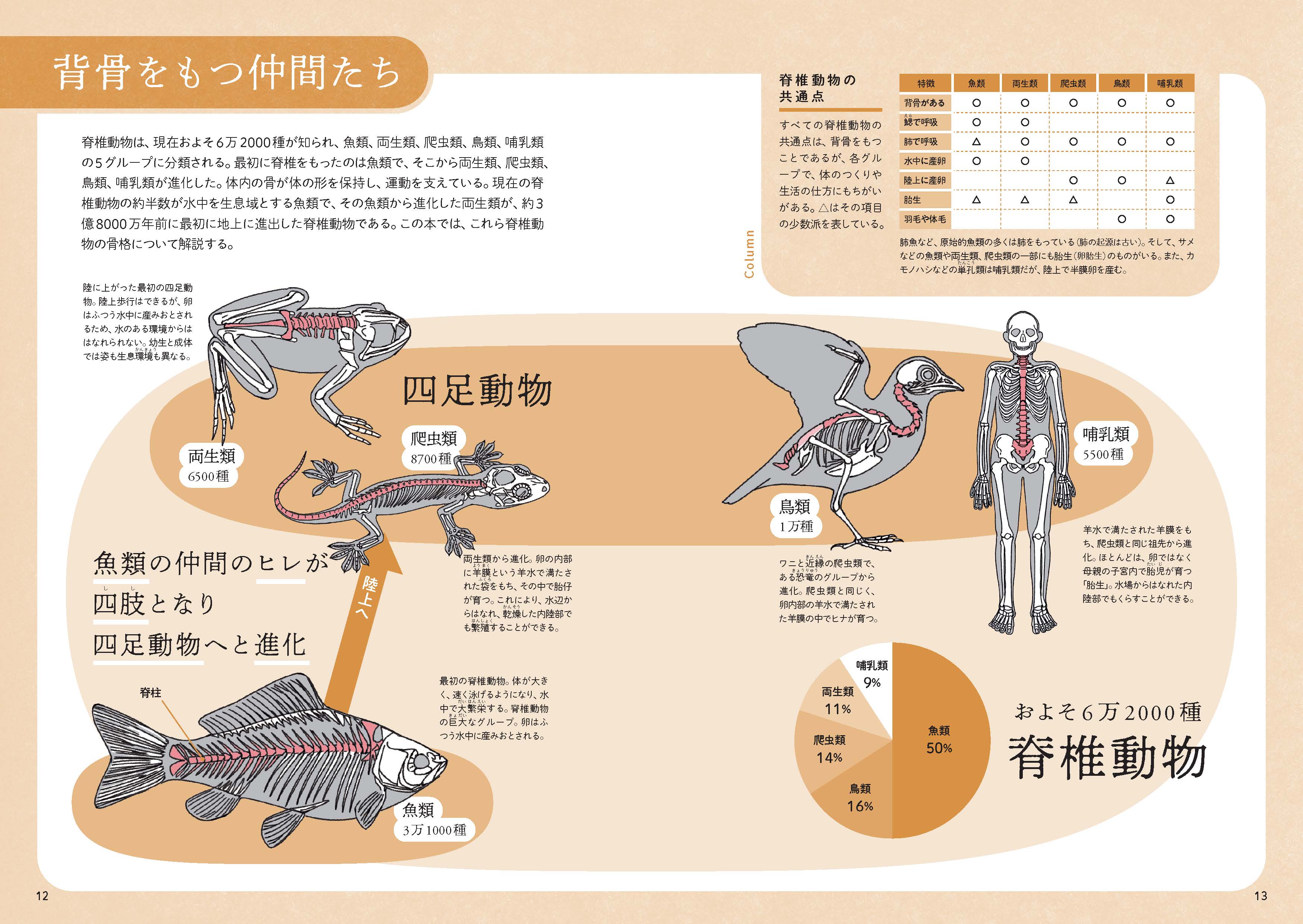 X-Knowledge | ぜんぶ絵でわかる9 すごい骨の動物図鑑