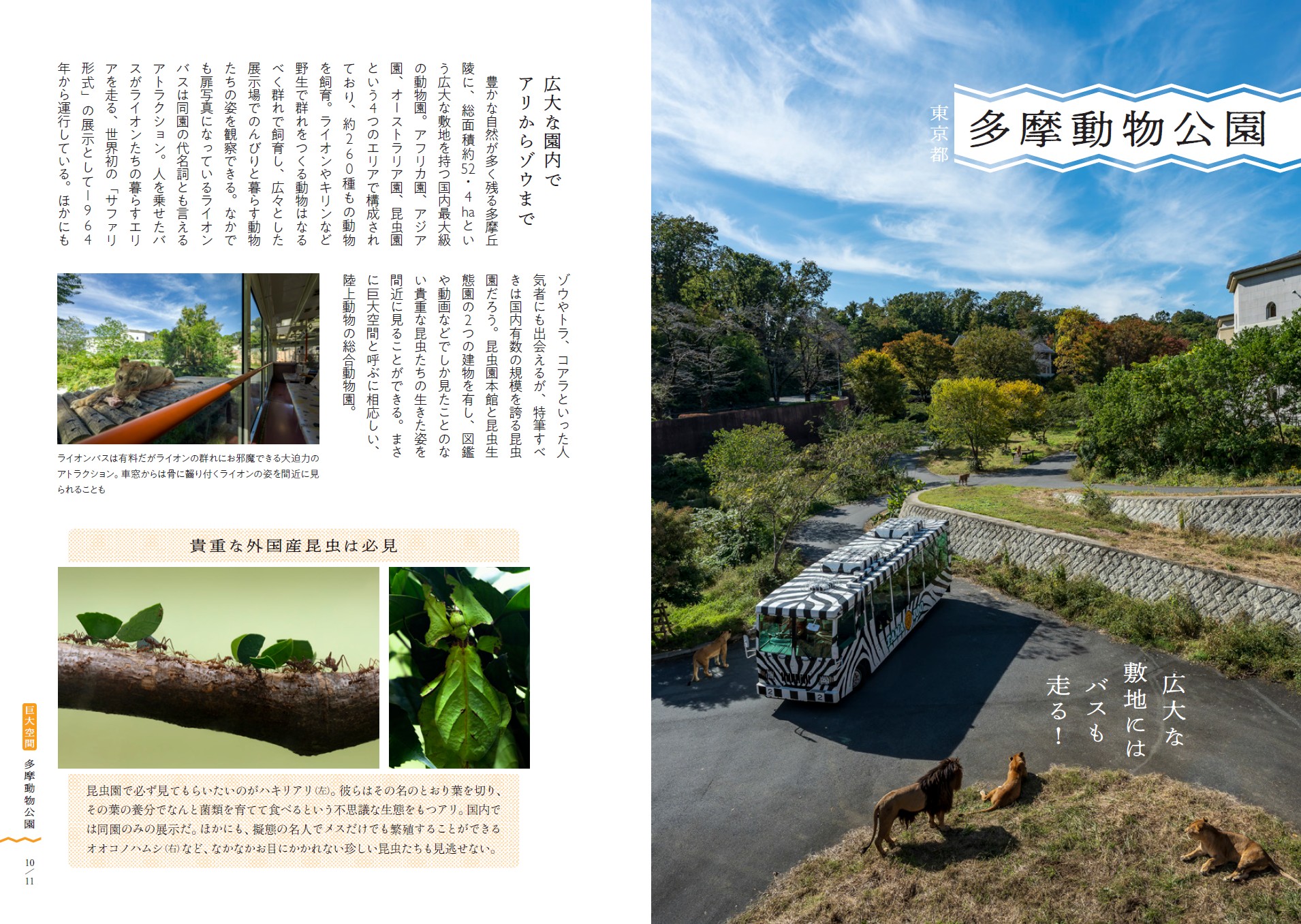 X-Knowledge | 日本の美しい動物園と水族館